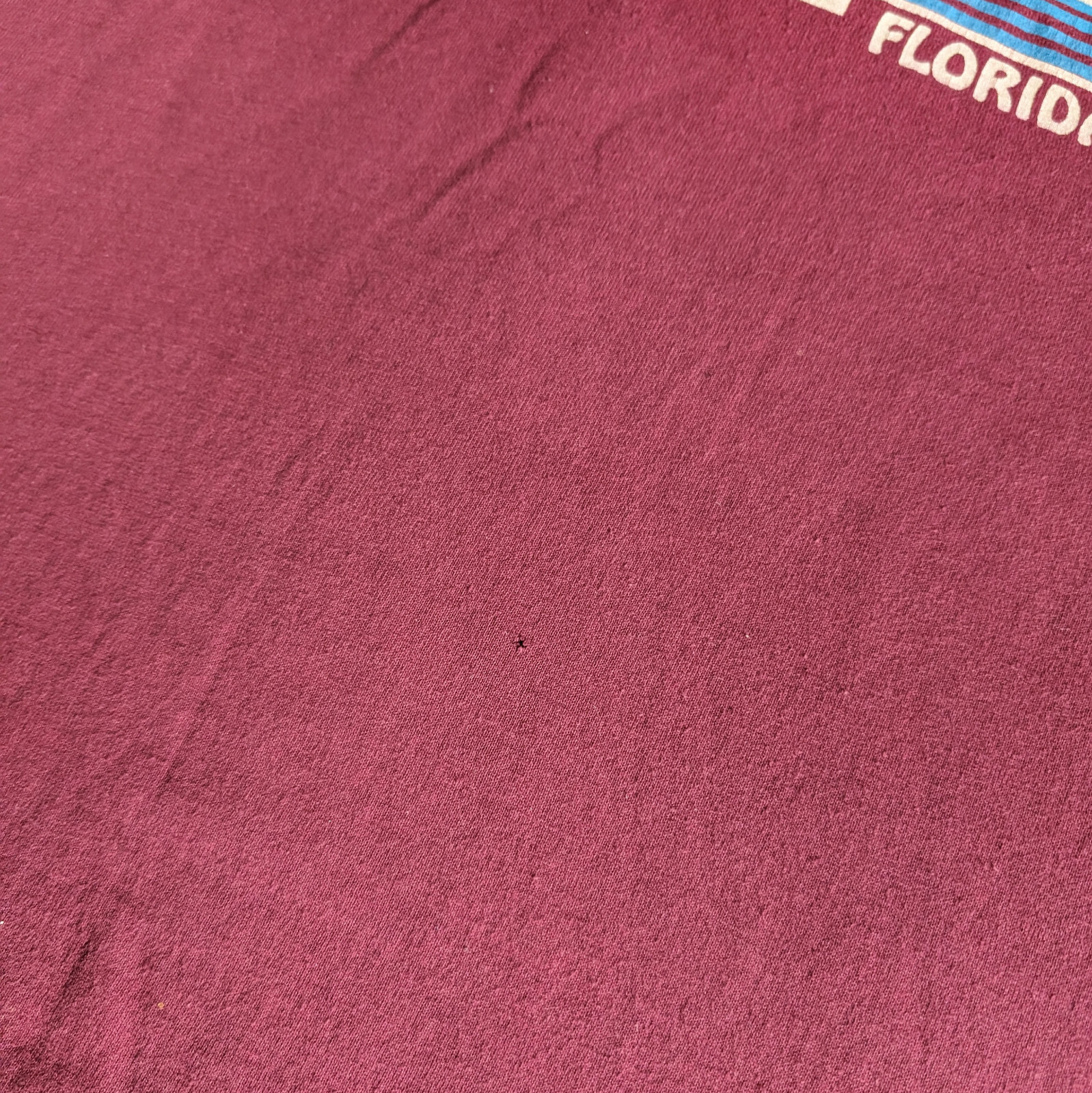 Vtg TeeJays Hef-T Single Stitch Destination Tee Florida Graphic Large TShirt gallery