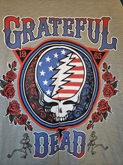 Grateful Dead Baseball Player T-Shirt Liquid Blue, Graphic Print, Size XL