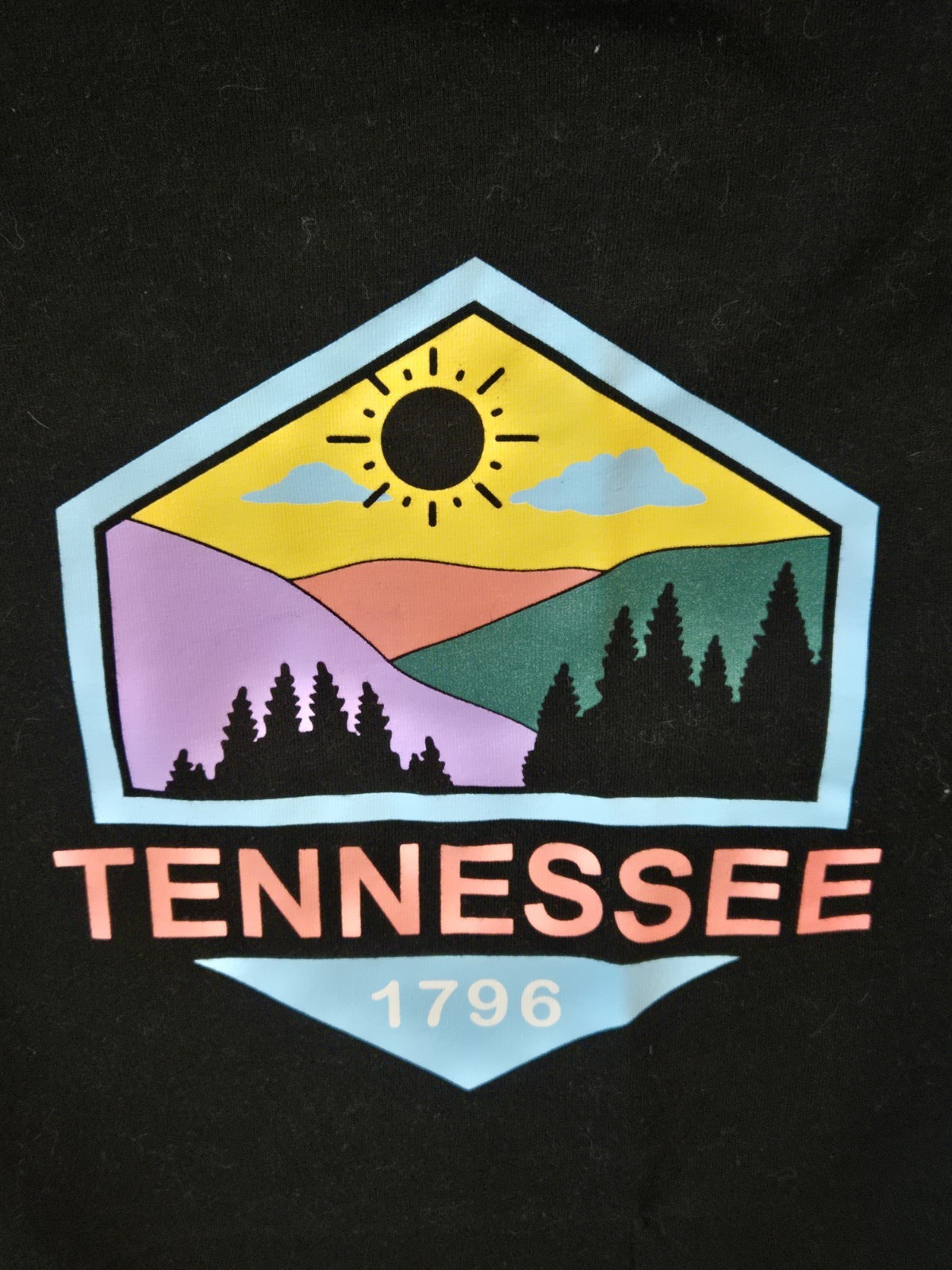 Home Free Tennessee State 1796 - Unisex Black Polyester/Cotton/Rayon T-Shirt EUC gallery
