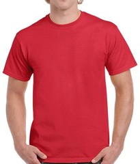 ROOTED IN CHRIST SHIRT (FRONT PRINT ONLY) JESUS GOD INSPIRATIONAL