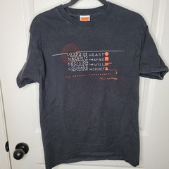 Frank Lloyd Wright Hanes Organic Commandment Shirt Mens Medium Black Graphic Tee