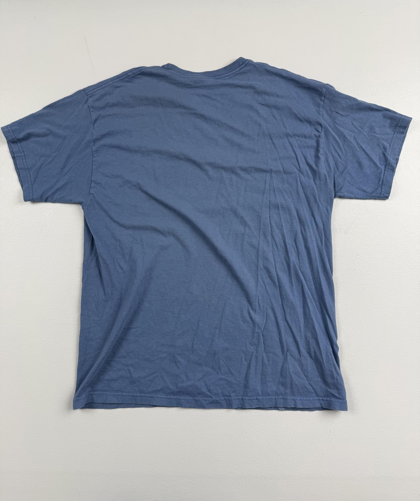 Hanes Shirt Mens Large Blue Alaska Wildlife Moose Graphic Tee Heavyweight gallery