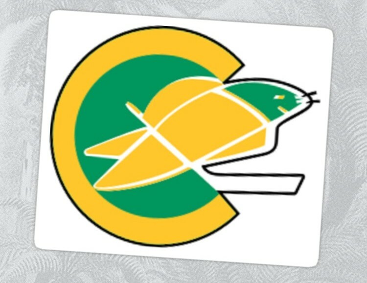 NHL Hockey California Golden Seals Embroidered Adult T- Shirt S-6XL, LT-4XLT New gallery
