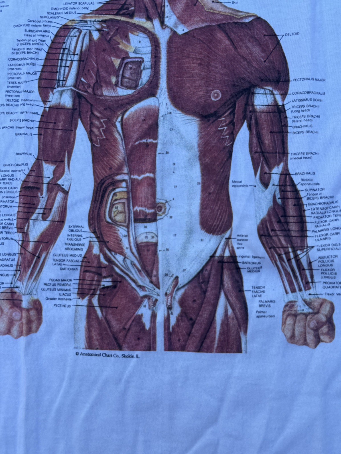 Vintage 90s Kurt Cobain Nirvana Anatomical Chart Tee Fruit of Loom Tag Sz XL gallery
