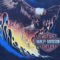 Vintage 2002 Y2K Harley Davidson Eagle Flame Holoubek T-Shirt XL Double Sided