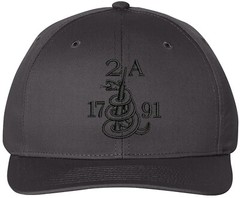 Gun 2A 2nd Amendment Richardson Embroidered One Size Fits All Baseball Hats