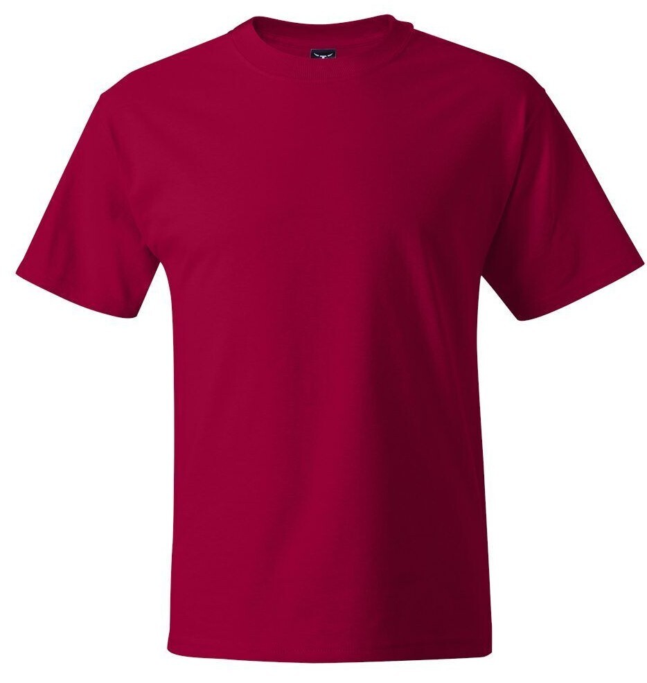 Hanes Beefy-T TALL T-Shirt 100% Cotton 518T Mens LT XLT 2XLT 3XLT 4XLT 5180 gallery