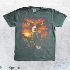 Bald Eagle Wildlife Vintage Comfort Tee Nature Bird Gift