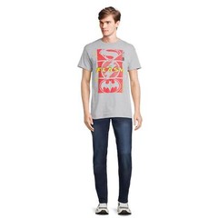 DC Comics Men’s and Big Men’s The Flash Super Icons Graphic T-Shirt Gray Large