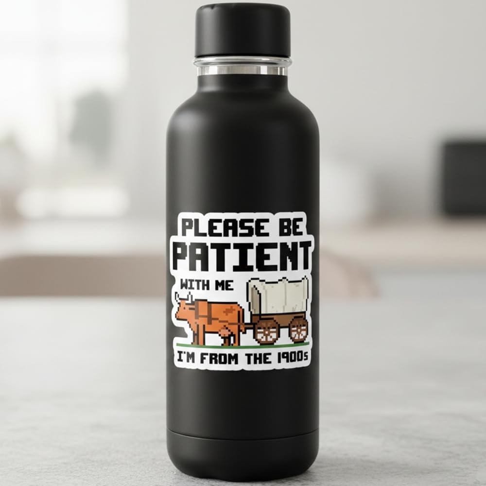 5 Pcs Please Be Patient I'm from 1900s Stickers Pack Funny Millennial Retro Tech gallery