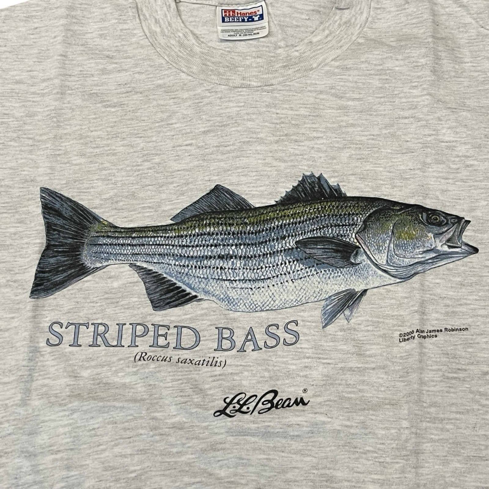 Vintage L.L. Bean Striped Bass T-shirt Fishing Outdoors Sz Medium 2000 gallery