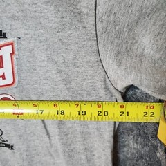 Cactus League MLB Official 2010 Spring Training Men’s Gray T-Shirt Size Medium