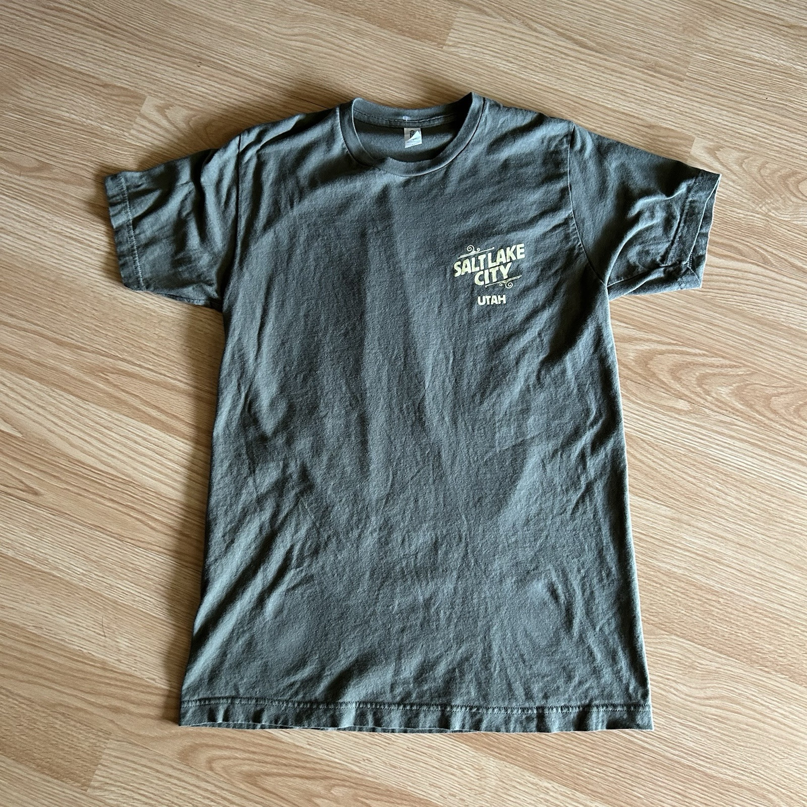 Tultex 202 Salt Lake Utah Graphic Short Sleeve Tee Medium gallery