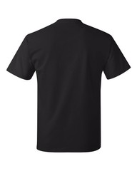 🔥 Hanes Unisex Authentic Short Sleeve Cotton & Blends T-Shirt 5250 Black 2XL