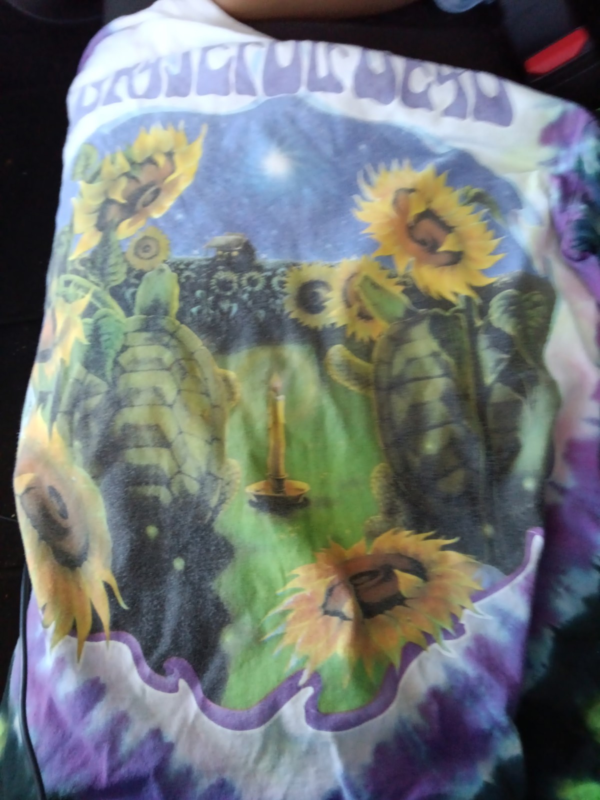 Grateful Dead Tie Dye T-Shirt Unisex med could fit a small light stains