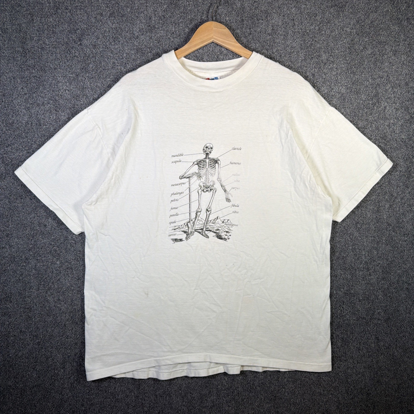 Vintage Skeleton Shirt Mens XL White 90s Anatomy Science Bones USA Art Portrait