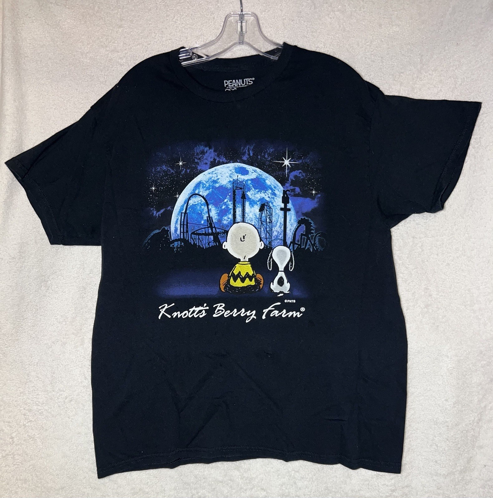 Peanuts x Knott’s Berry Farm graphic tee featuring Charlie Brown and Snoopy L gallery