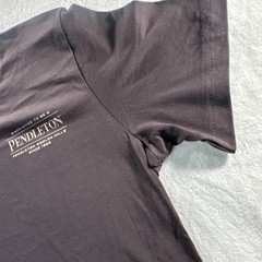 Pendleton Men’s graphic T Shirt Brown Short Sleeve Outdoors Camping LARGE NWOT