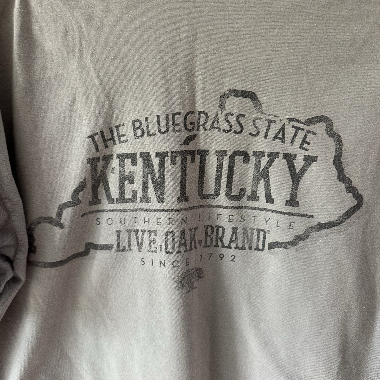 Live Oak Brand Tshirt Custom Colors Size Large Cotton Kentucky Bluegrass Gray gallery