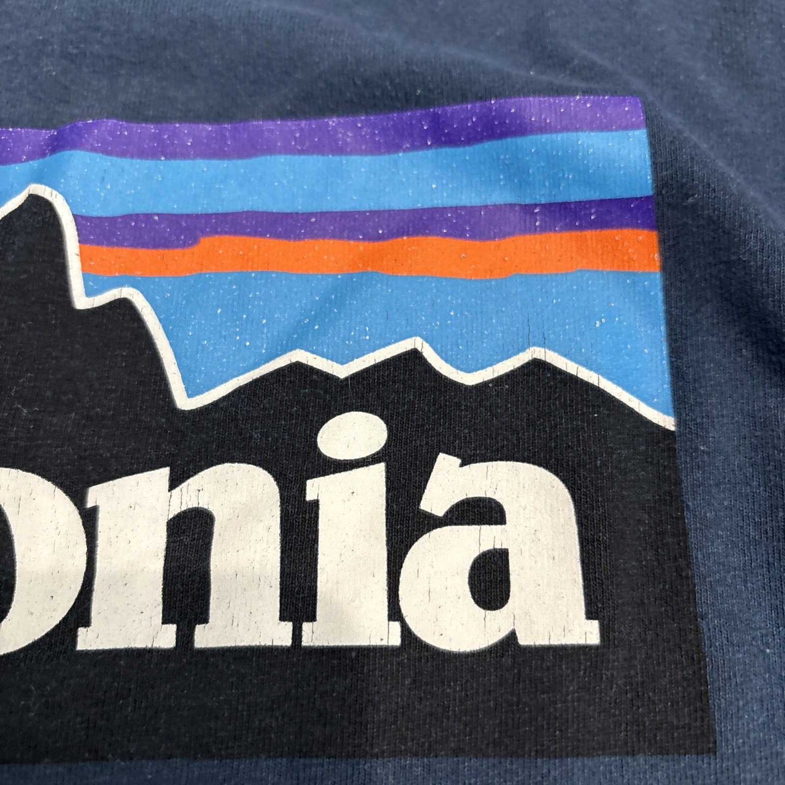 Patagonia Responsibili-Tee Long Sleeve Shirt Mens M Blue Logo Nature Hiking gallery