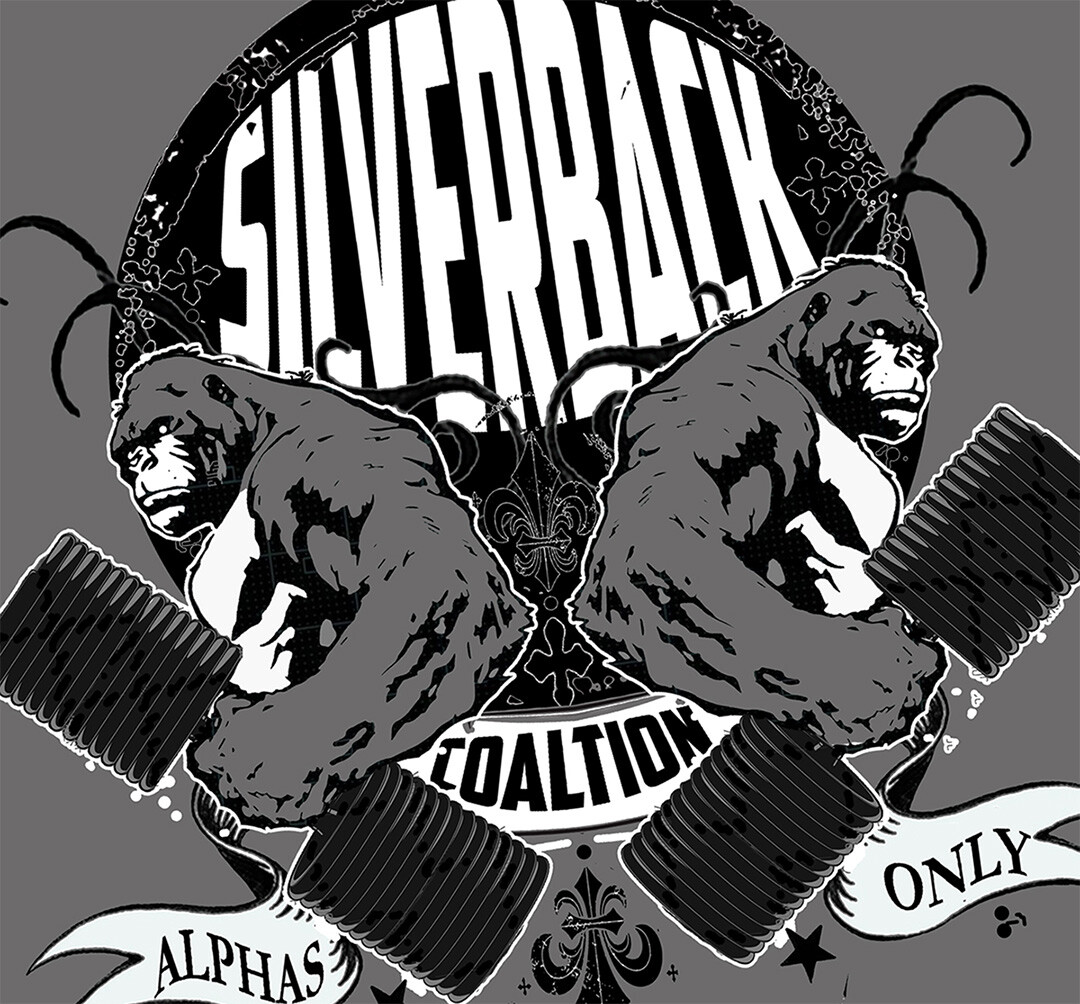 Iron Gods Silverback Coalition Workout Hoodie, Mens Hoodie, Gym hoodie, Pullover gallery