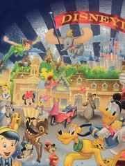 XL BLUE reflective HAPPIEST MEMORIES ON EARTH 55 Large DISNEY CAST SHIRT TEE