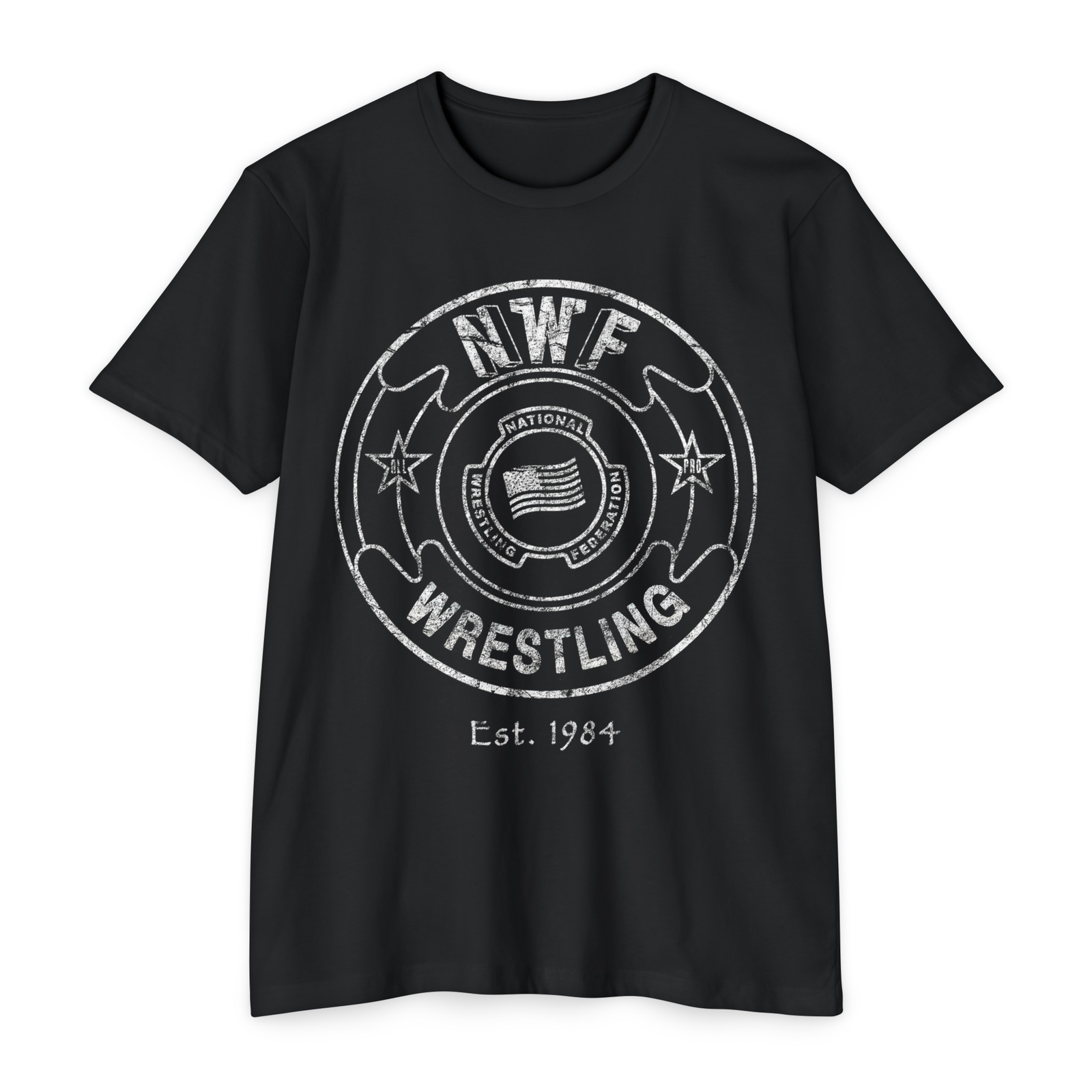 NWF Distressed Outline Unisex CVC Jersey T-shirt gallery