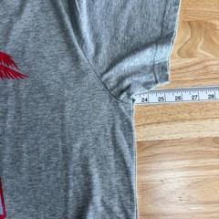 NEW Chubbies The Chub-Spangled Banner Graphic T Shirt Mens L Gray S/S Stretch