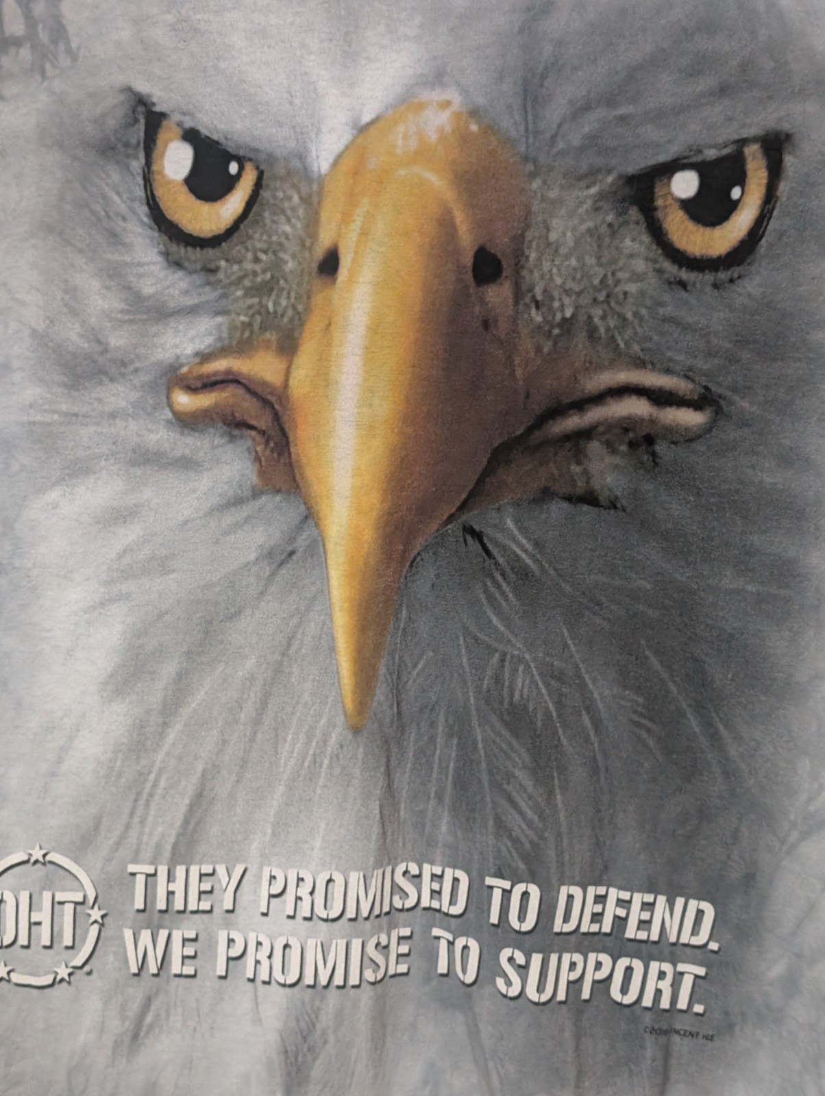 The Mountain Mens T-shirt Gray Face Of An Eagle We Promise To Defend XL #6734