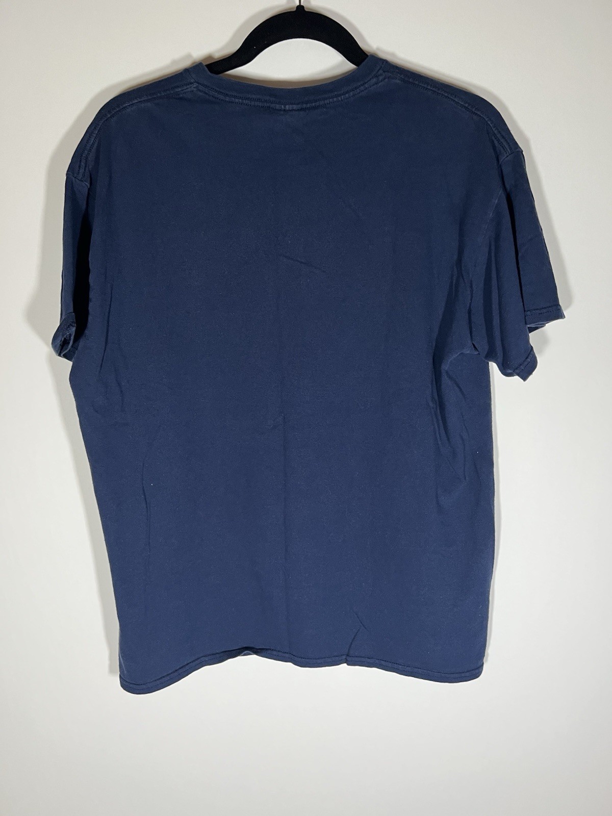 Vintage Y2K Delta proweight blue wolf distressed graphic sz L festival casual gallery
