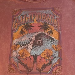 Mighty Fine Men’s Pink California Graphic Crew Neck Cotton Blend T-Shirt L