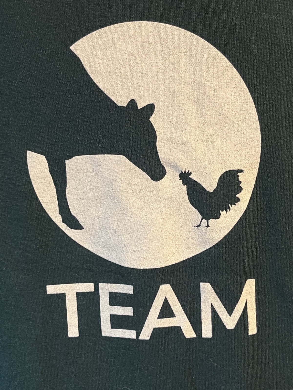 "Farm Sanctuary Team" Hanes Unisex Ecosmart T Shirt Large Green & White gallery