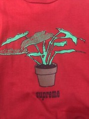 LIMITED EDITION Supreme Plant Tee Red Size M SOLD OUT ITEM FW17 100% Authentic