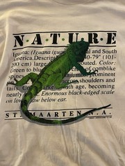 Bye-Bye 1996 Vintage Nature St. Maarten N.A. Iguana Graphic Light Pink T-shirt L