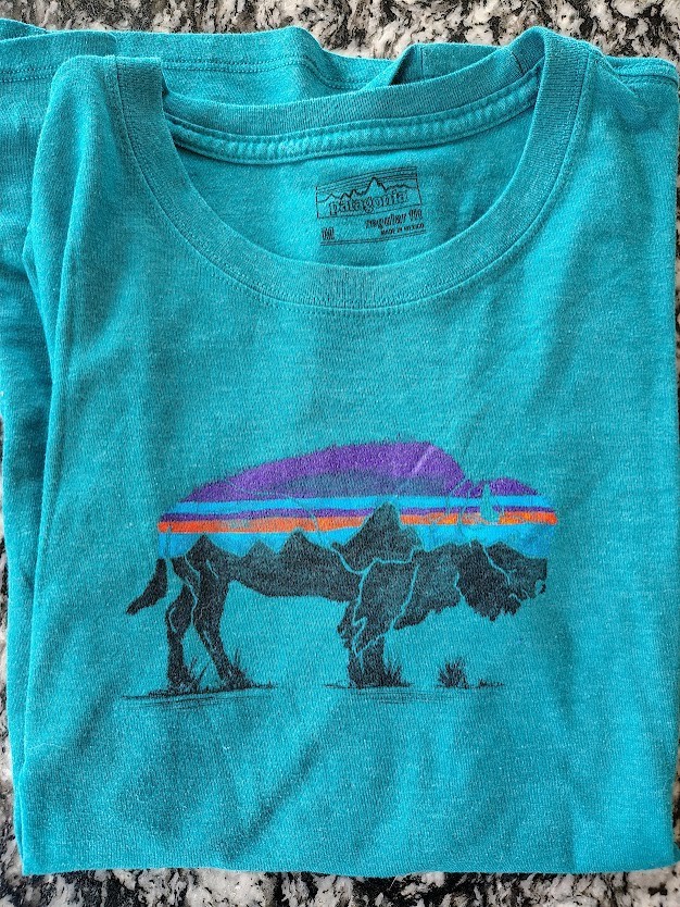 MEN’S PATAGONIA MEDIUM TURQUOISE T-SHIR IN EXCELLENT CONDITION