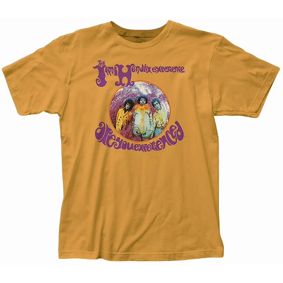 Jimi Hendrix Are You Experienced Gift For Fan All Size S to 5XL T-shirt TMB3339 gallery