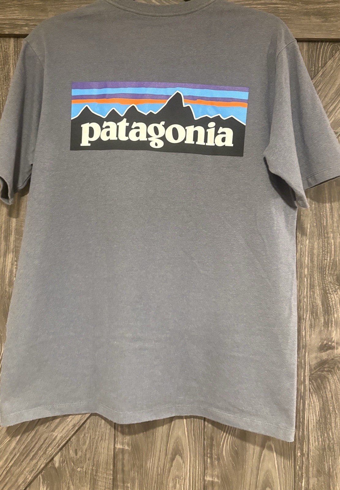 Patagonia T-Shirt Men’s Size Small Back Spell Out Classic Outdoor Grey gallery