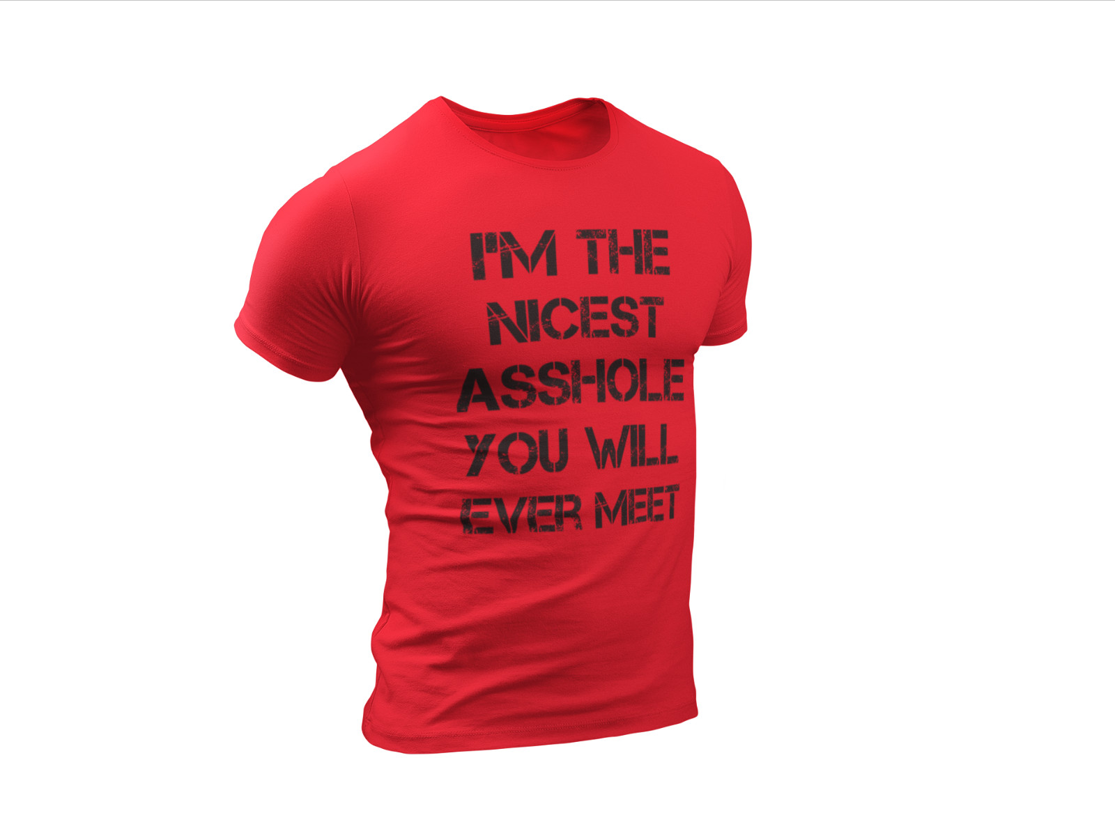 Offensive Shirt Rude Shirts Men Sarcastic T Shirt Funny Shirt Funny Tshirt Gifts gallery