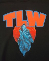 Personalized Custom T-Shirt Customized w/Photo, Text, Logo DTG on Gildan Shirts*