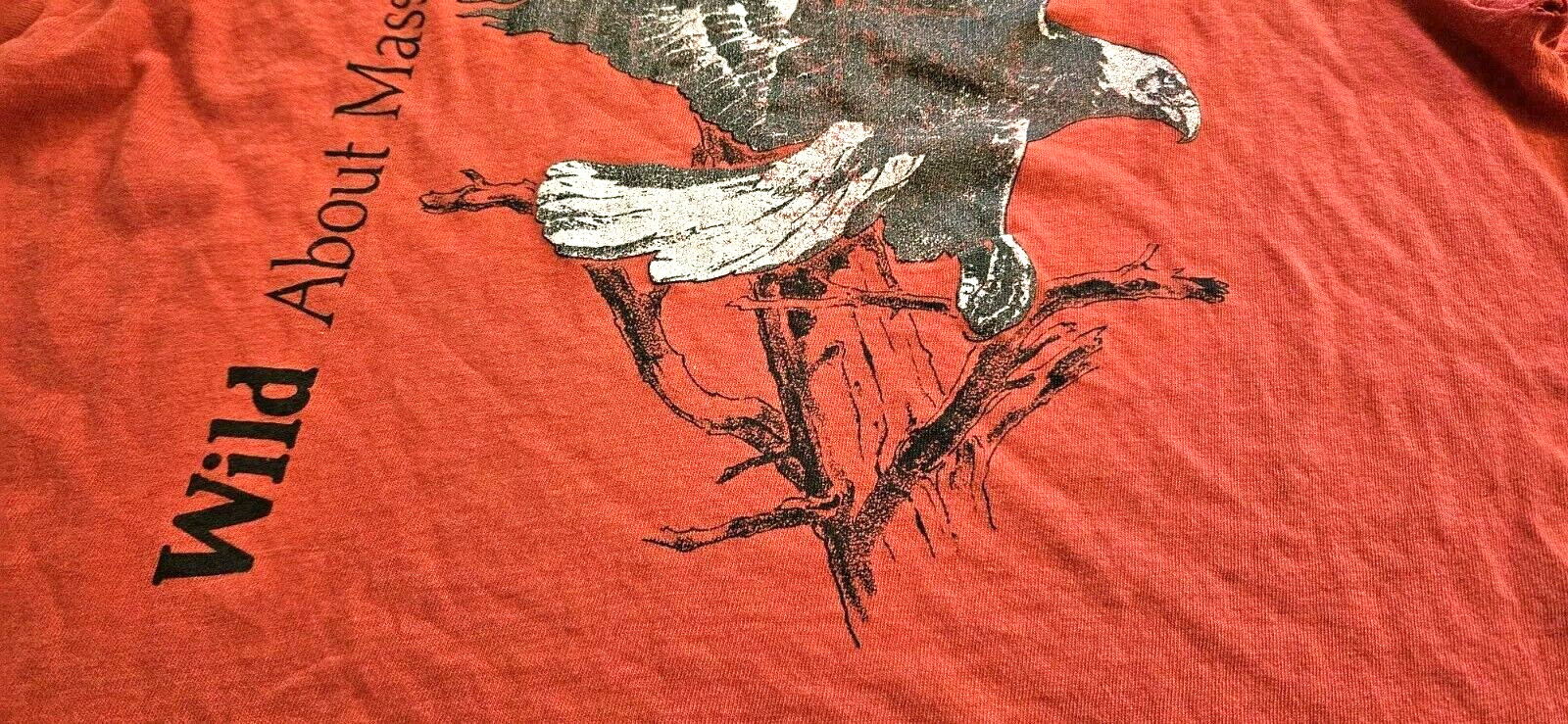 Vintage Massachusetts Audubon Society Eagle T-Shirt 80s 90s Single Stitch Red gallery