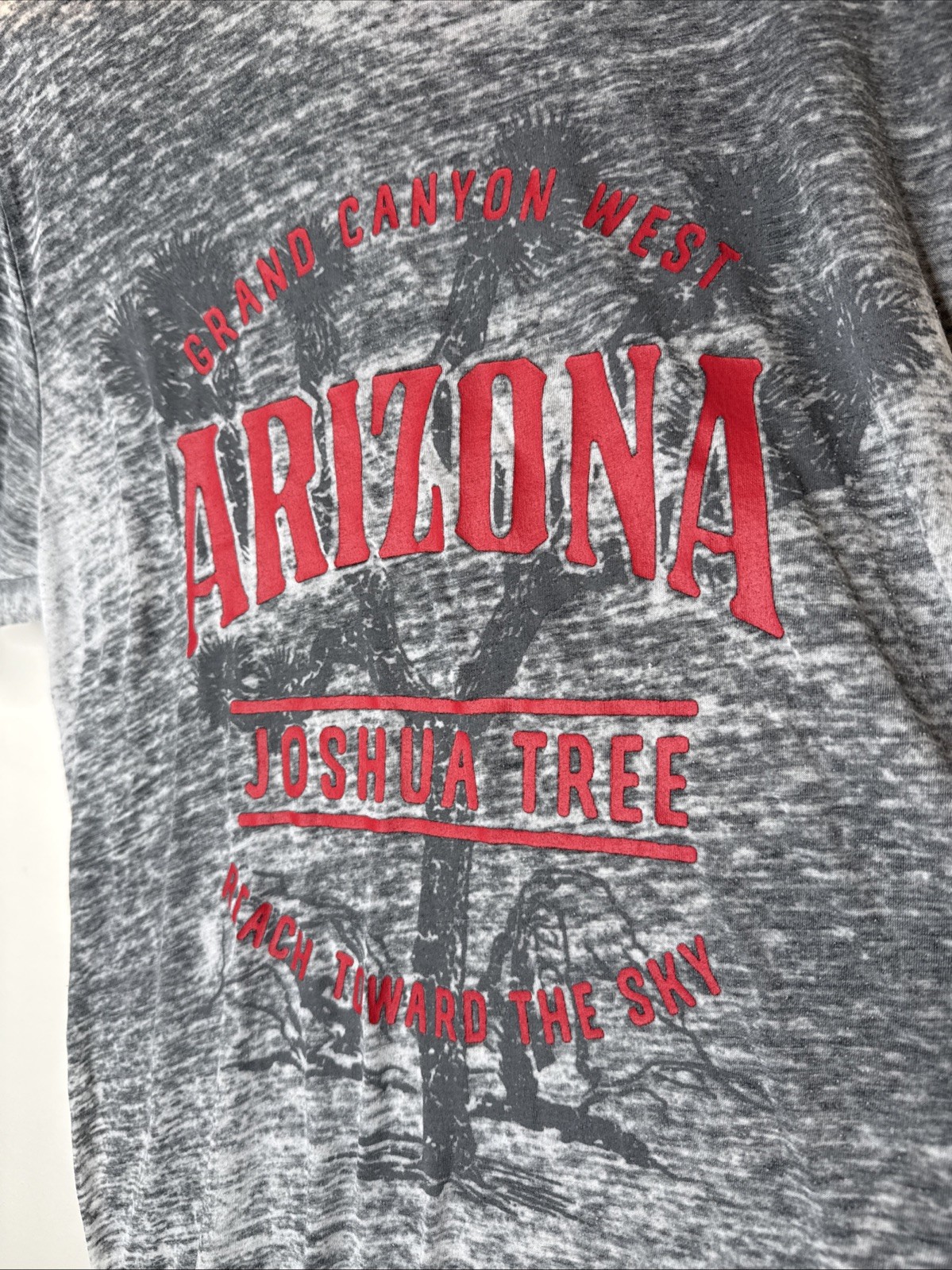 Grand Canyon Joshua Tree Arizona Paper Thin Burnout Graphic Tee T-Shirt Men's M gallery