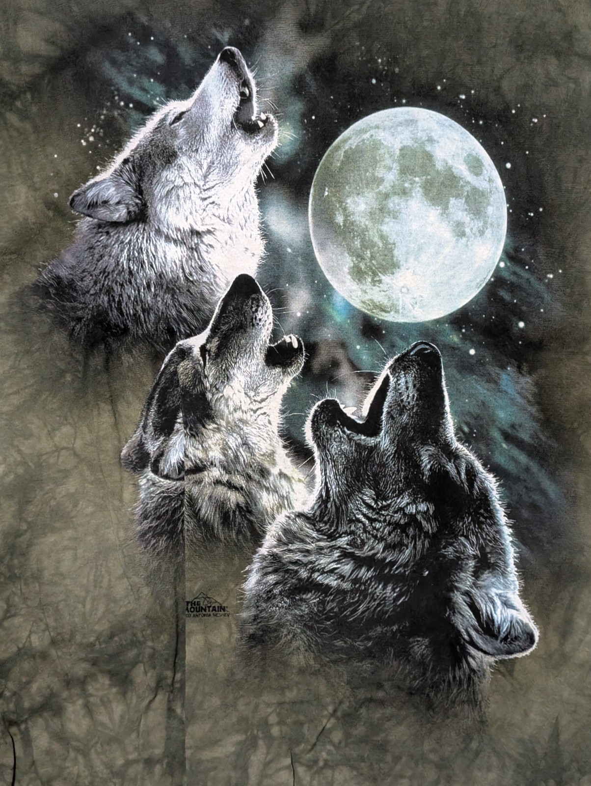 The Mountain Mens T-shirt Green 2007 Three Wolf Moon Retired Logo 2XL #6694 gallery