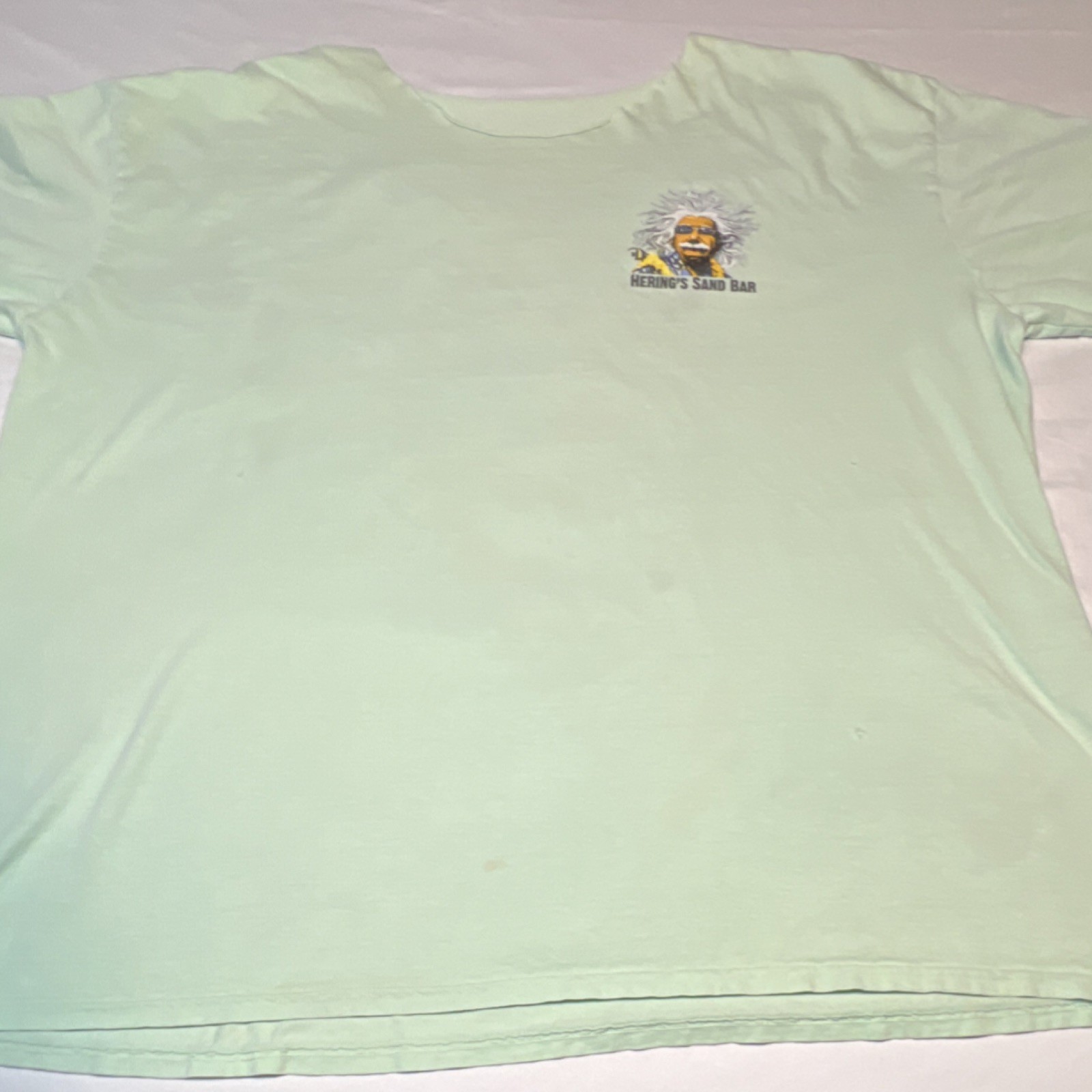 Hering's Sand Bar Light Green Graphic Print T-Shirt Men's Short Sleeve Hawaiian gallery