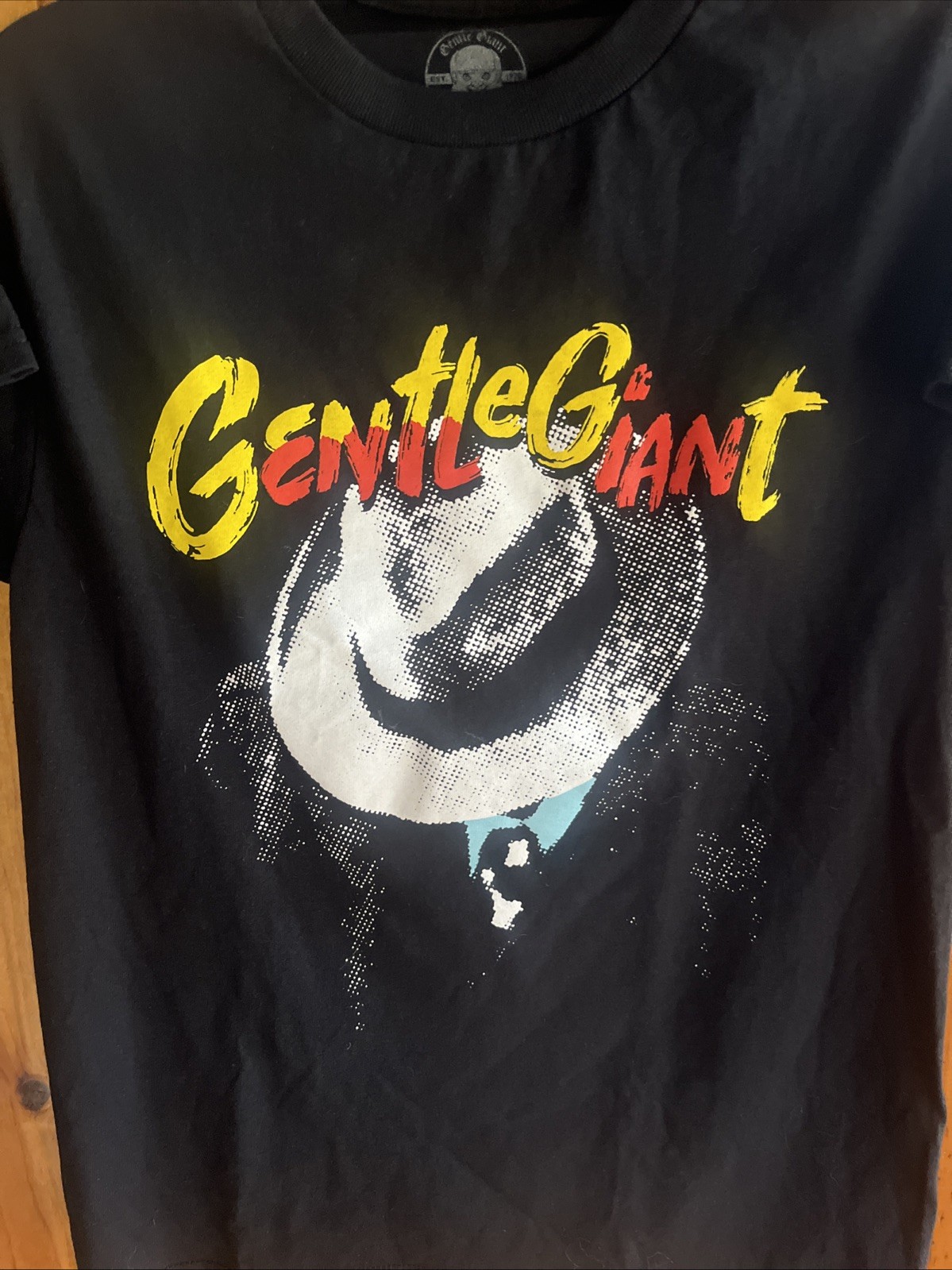 AUTHENTIC Gentle Giant Official Merch - Black T Shirt - CITIZEN ALBUM - Size S gallery