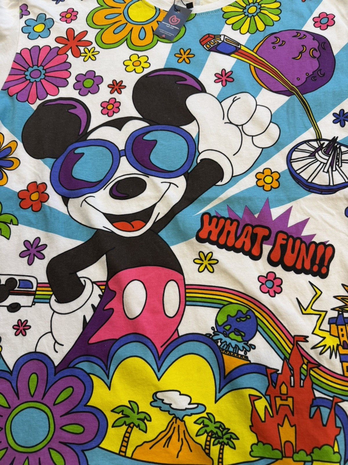 Tokyo Disney Resort gallery