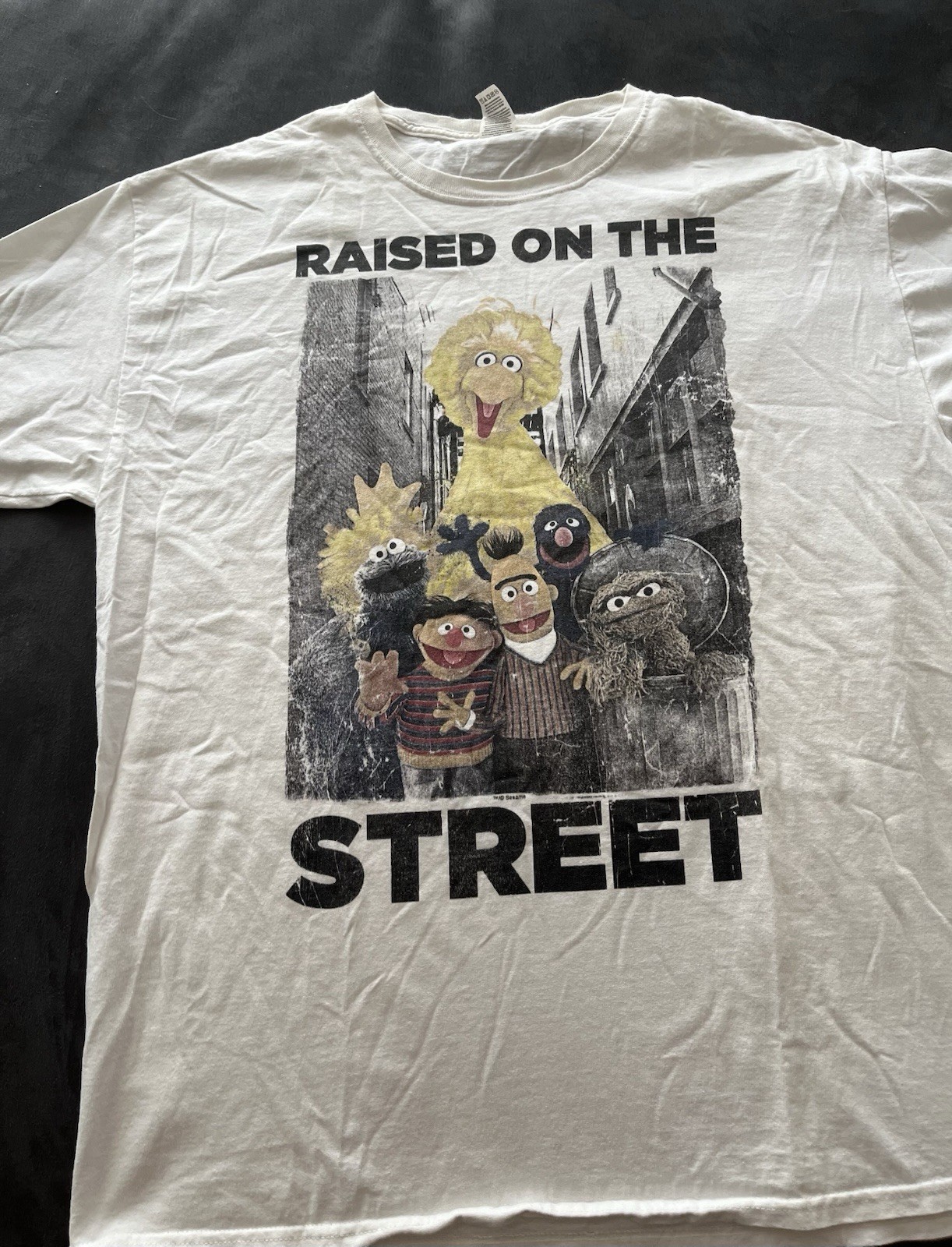 Unisex Size ‘L’ Sesame Street Themed Tshirt White Short Sleeve