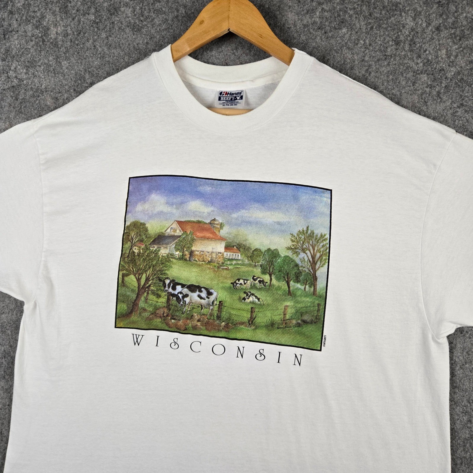 Vintage Wisconsin T-Shirt Mens XL White Cow Farm Graphic 90s Made USA Hanes gallery