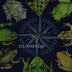 FROG CIRCLE-Bull Leopard Tree Peeper Amphibian Science Nature T shirt size S-2XL