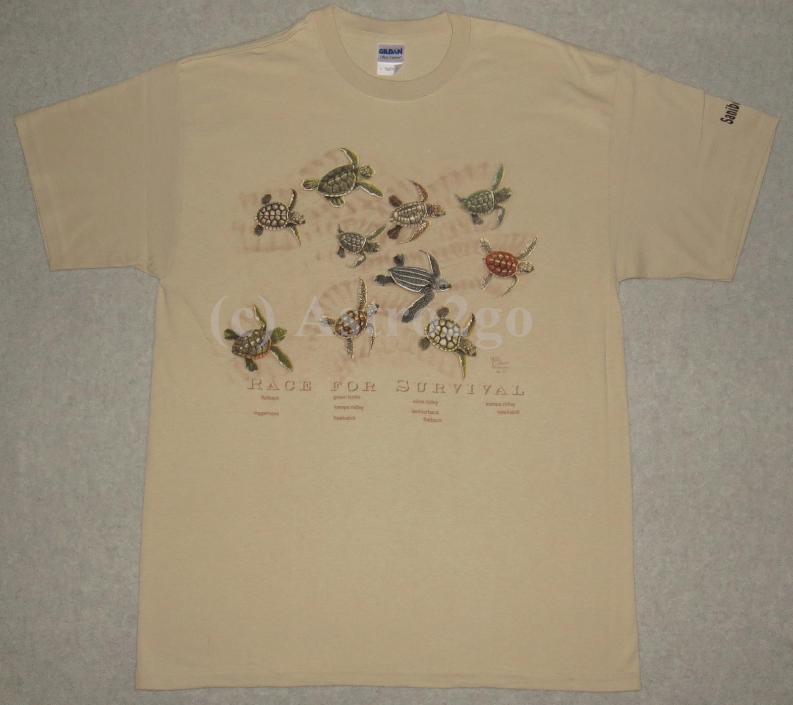 RACE FOR SURVIVAL--Sea Turtles Marine Ocean Aquatic Science Nature T shirt S-2XL gallery