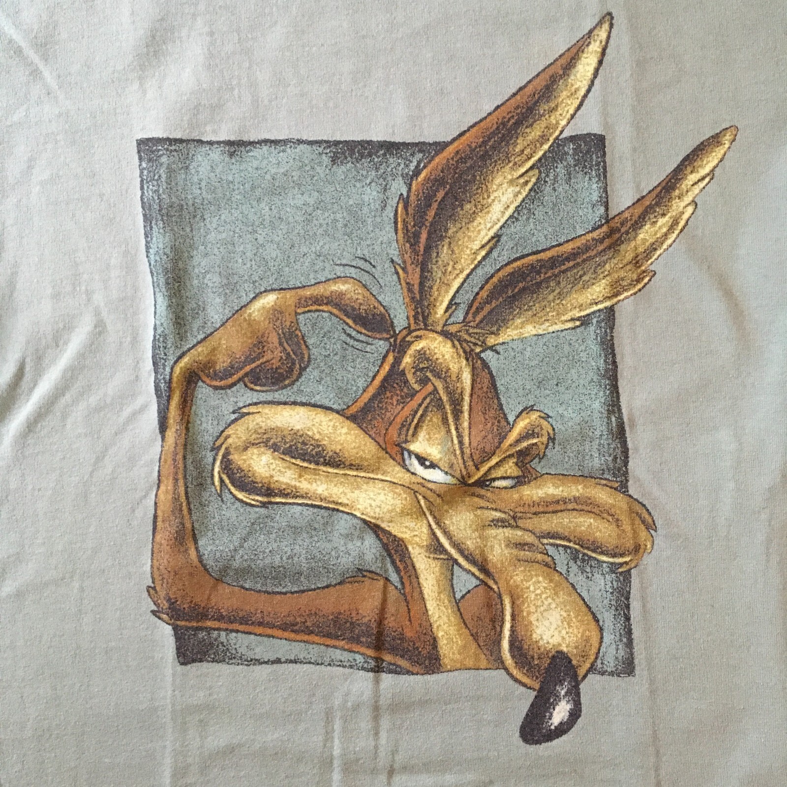 VTG 1991 Wile E Coyote Looney Tunes T-Shirt L USA Single Stitch Sage Green